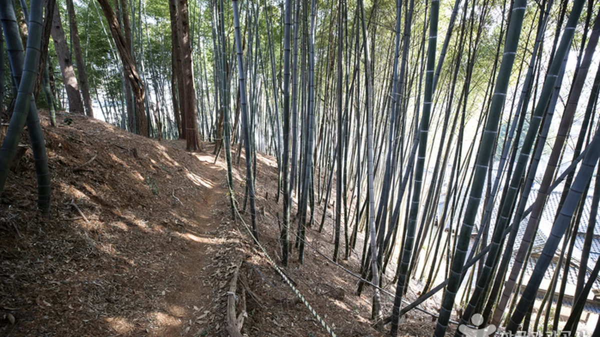 군산 시간여행마을