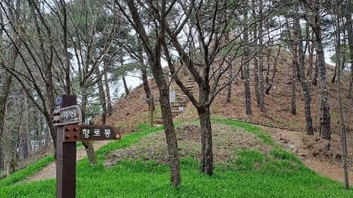 무주 향로산 자연휴양림