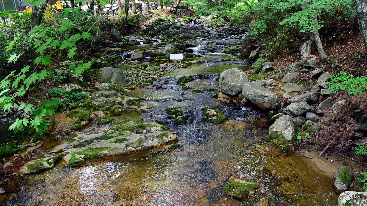 삼정야영장