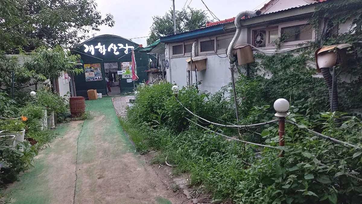 태문네