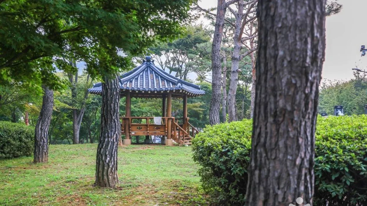 솔밭공원(안성)