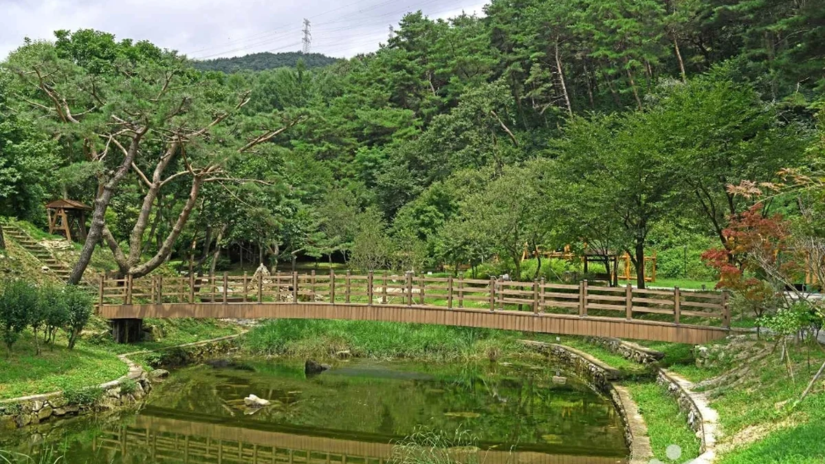용두산 산림욕장
