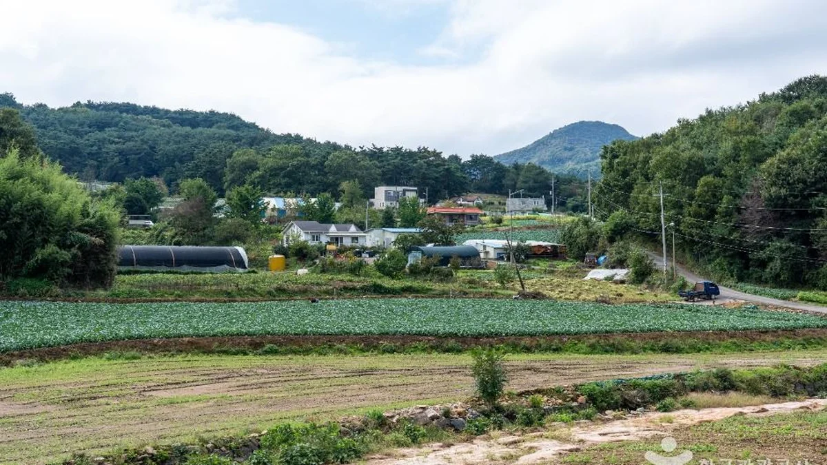 서산 꽃송아리마을