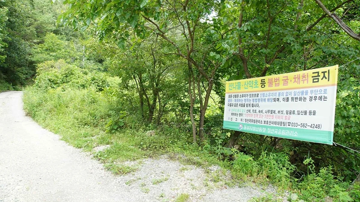 상정바위산