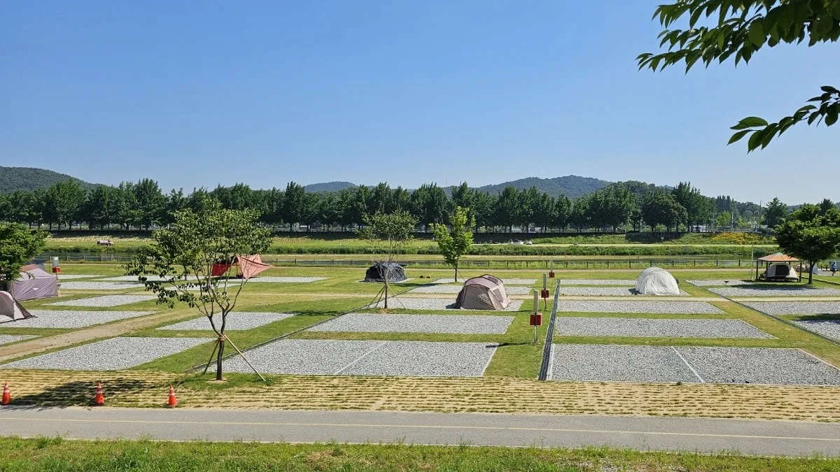 아산곡교천야영장