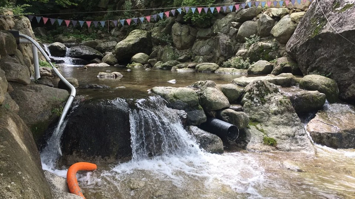 진틀펜션캠핑장