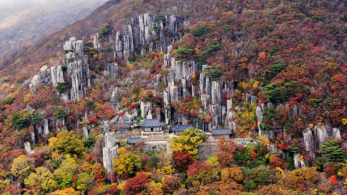 만연산