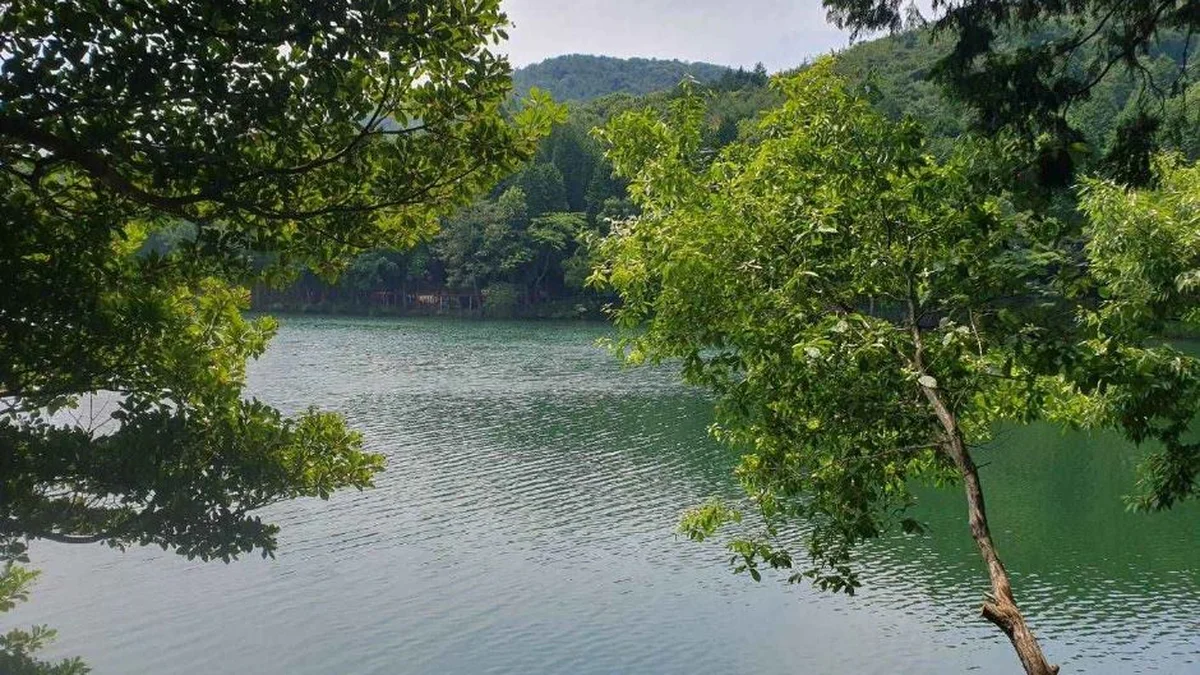 미평 봉화산 산림욕장
