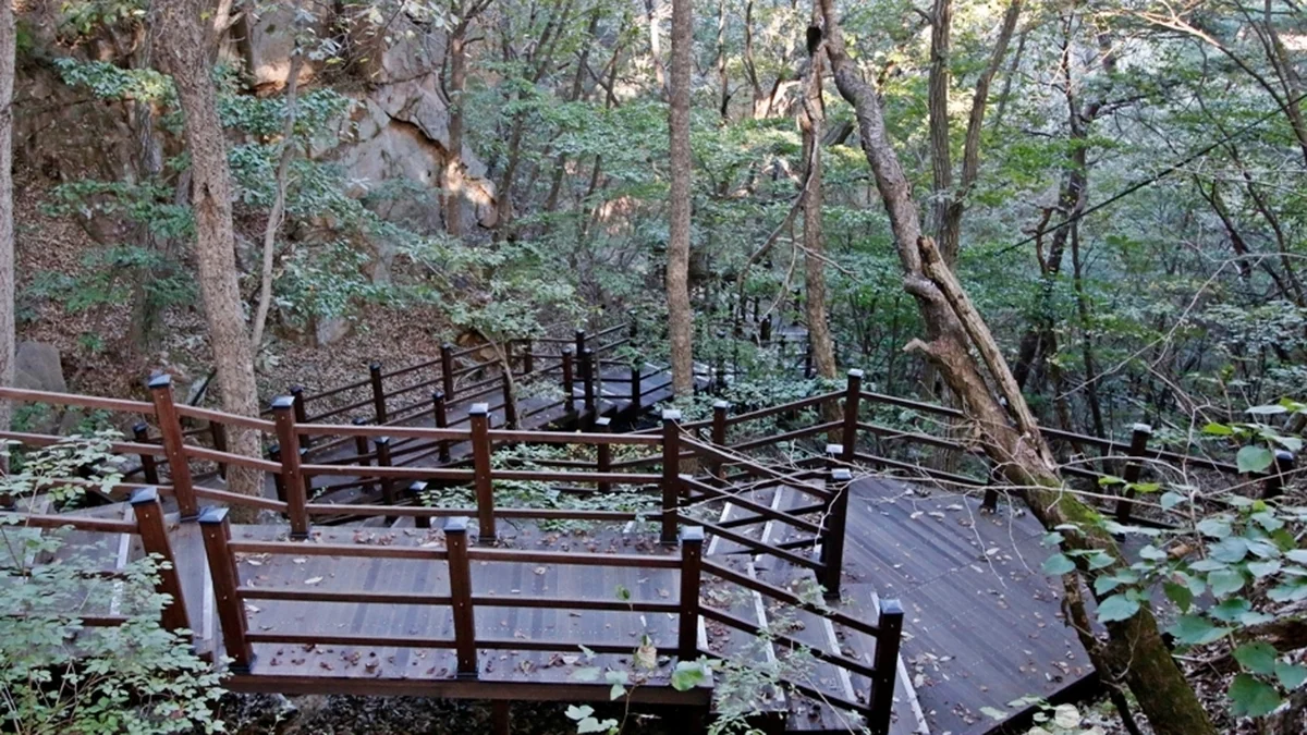 천태산