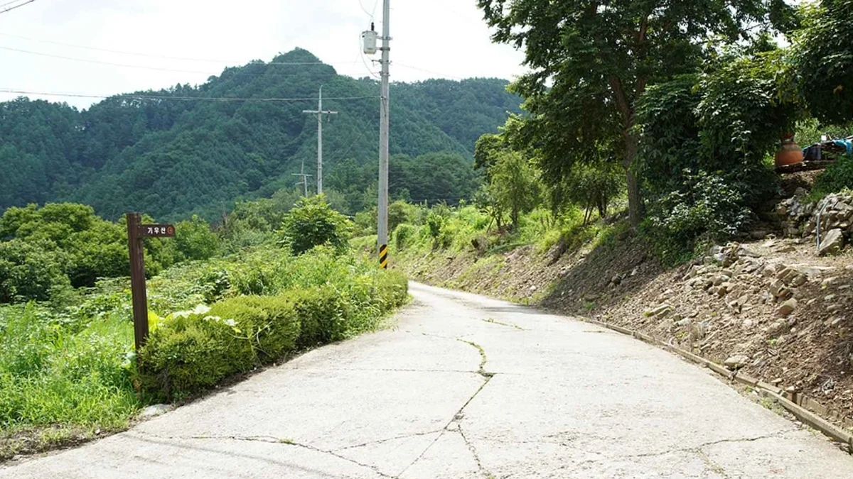 기우산(정선)