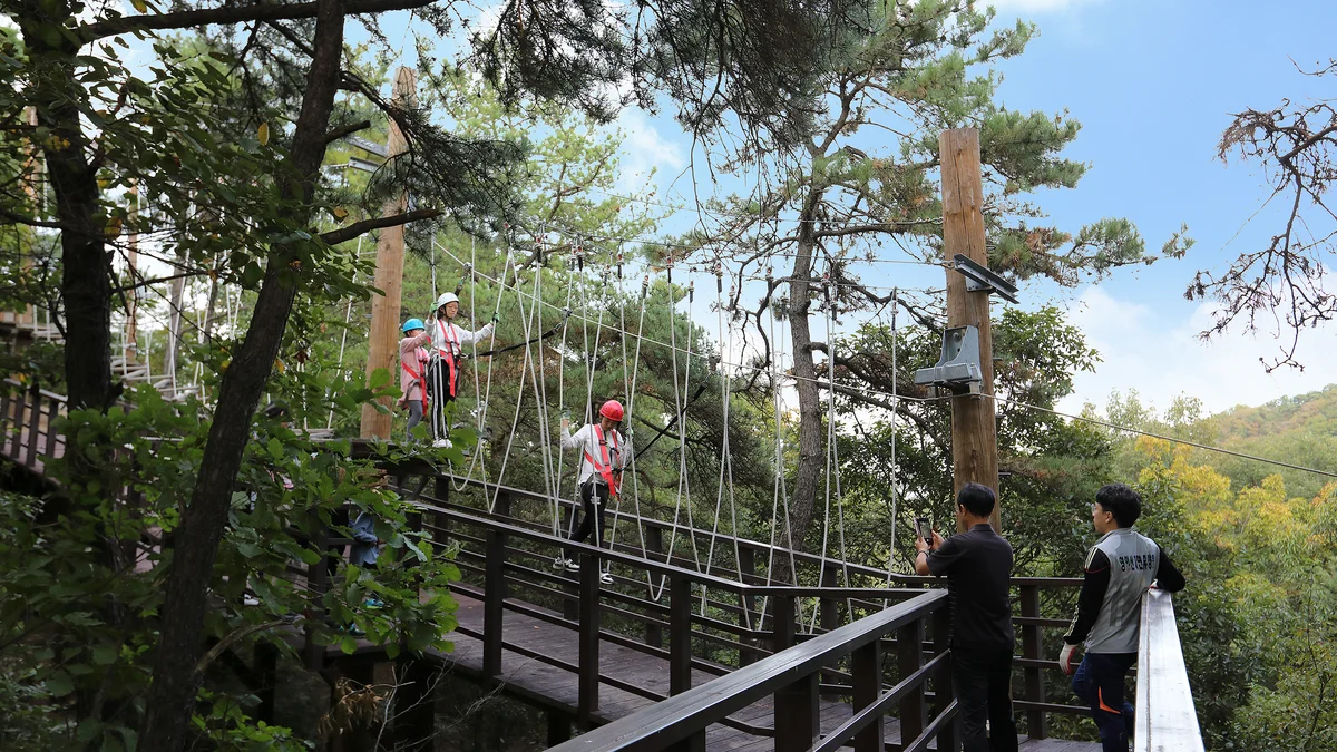 영인산자연휴양림 숲속야영장