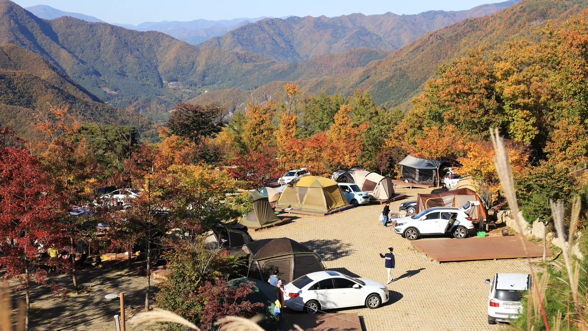 동강전망자연휴양림오토캠핑장