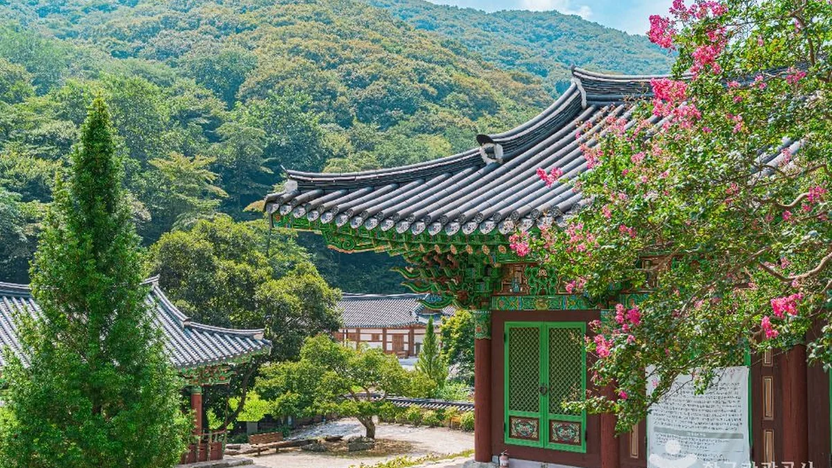 불회사(나주)