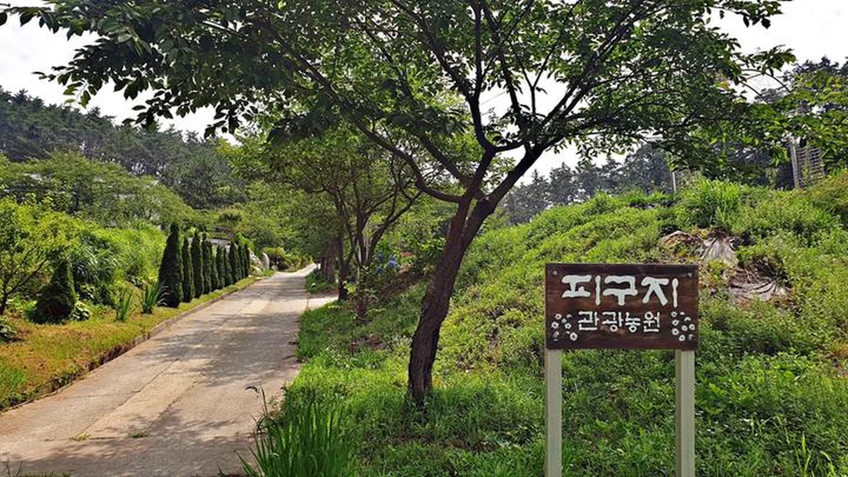 피구지 관광농원