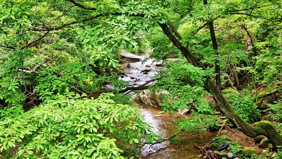 덕동계곡