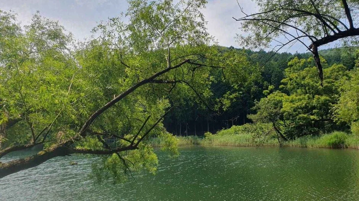 미평 봉화산 산림욕장