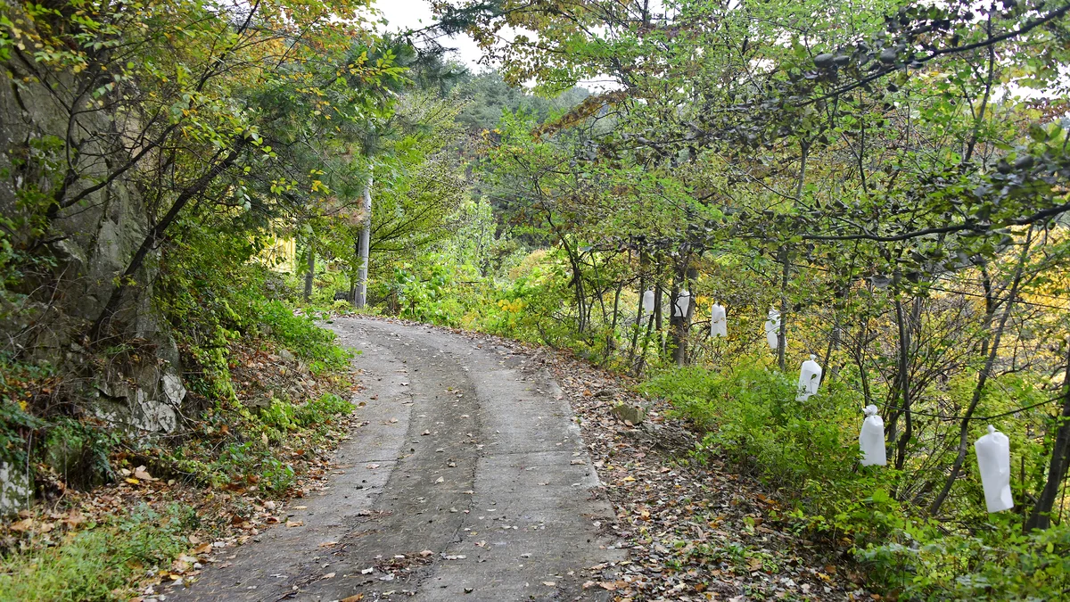 지리산오도재 힐링 캠핑장