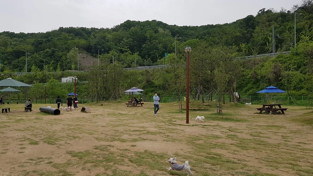삼막애견공원
