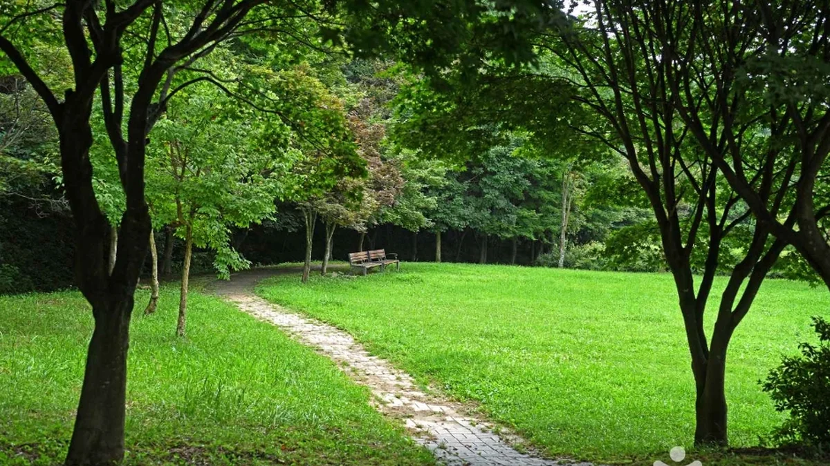 용두산 산림욕장