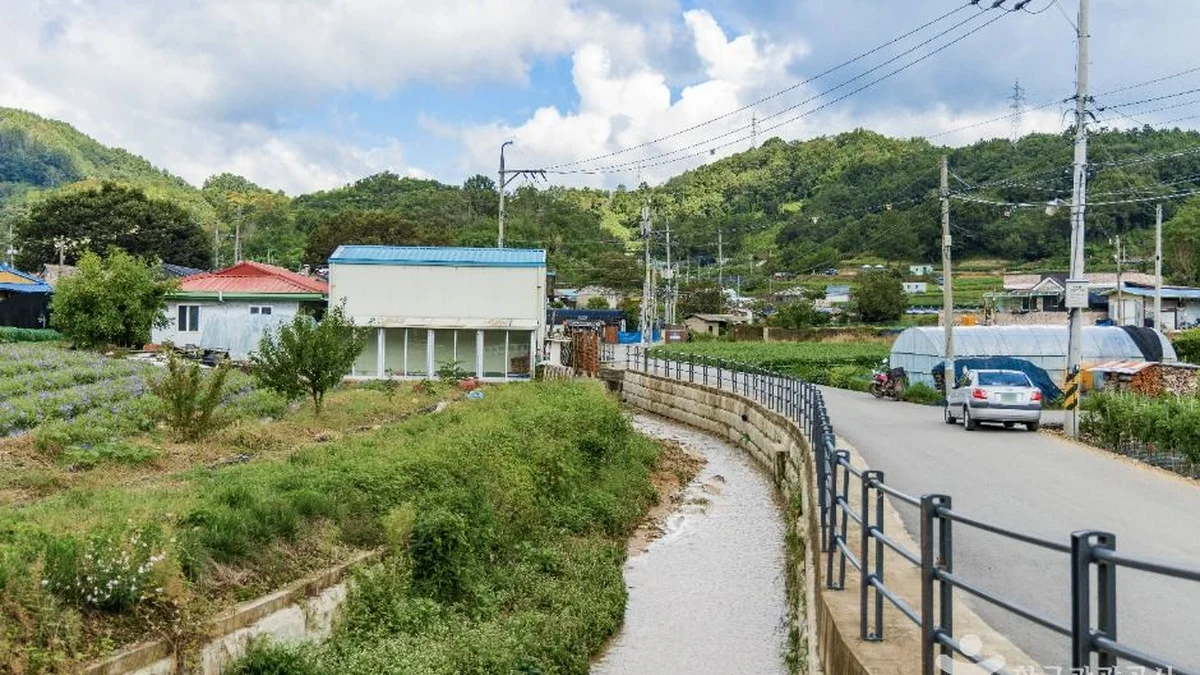 금산 바리실마을