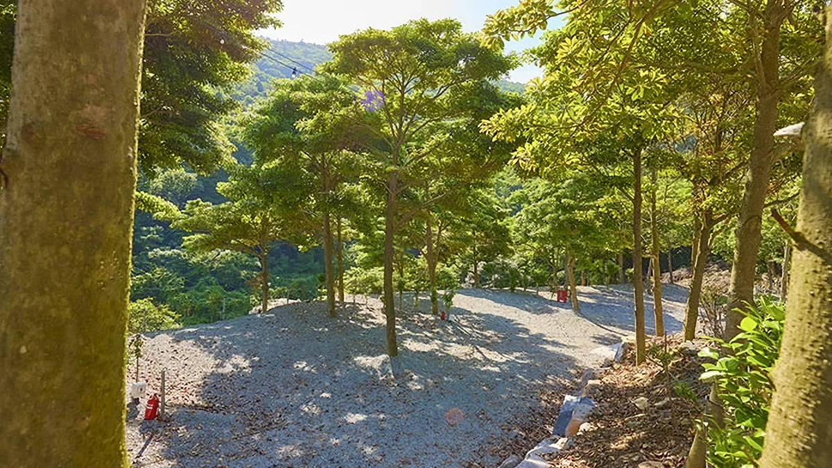 진도 카멜리아 힐즈 오토캠핑장