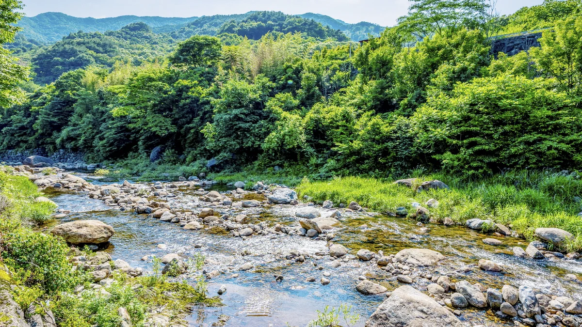 지리산 포레스트 카라반 파크
