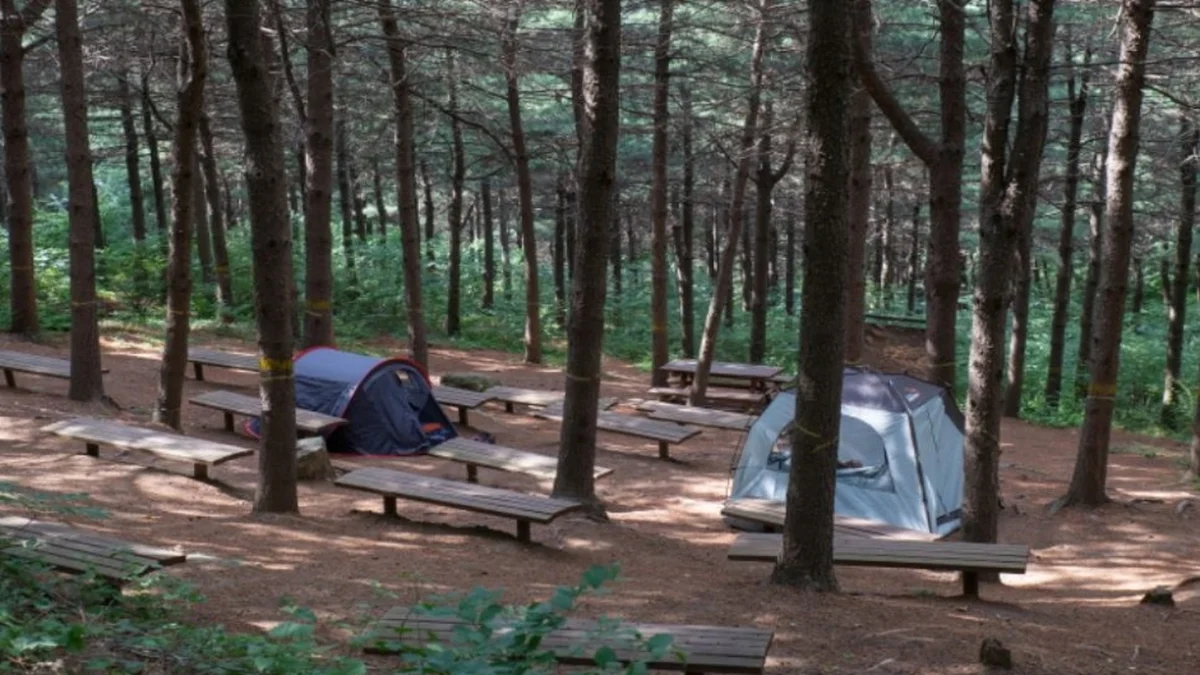 독산성산림욕장