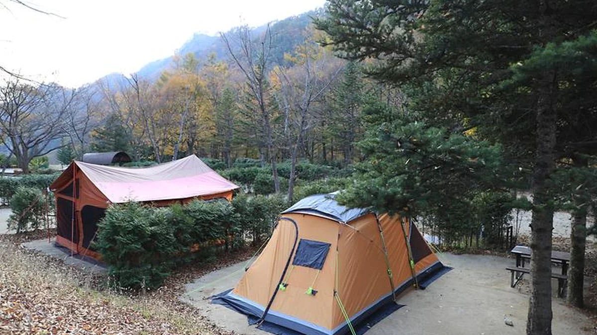 금대자동차야영장(치악산국립공원)