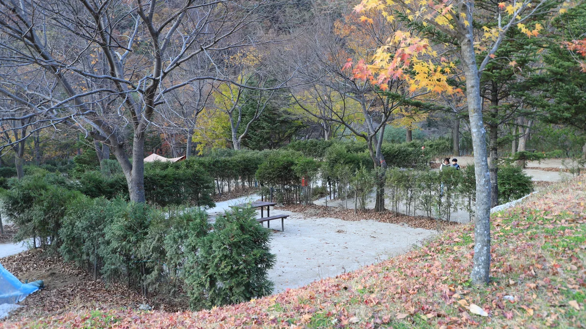 금대자동차야영장(치악산국립공원)