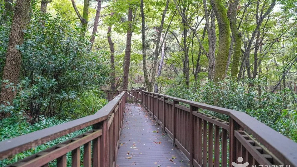 백양산 웰빙숲