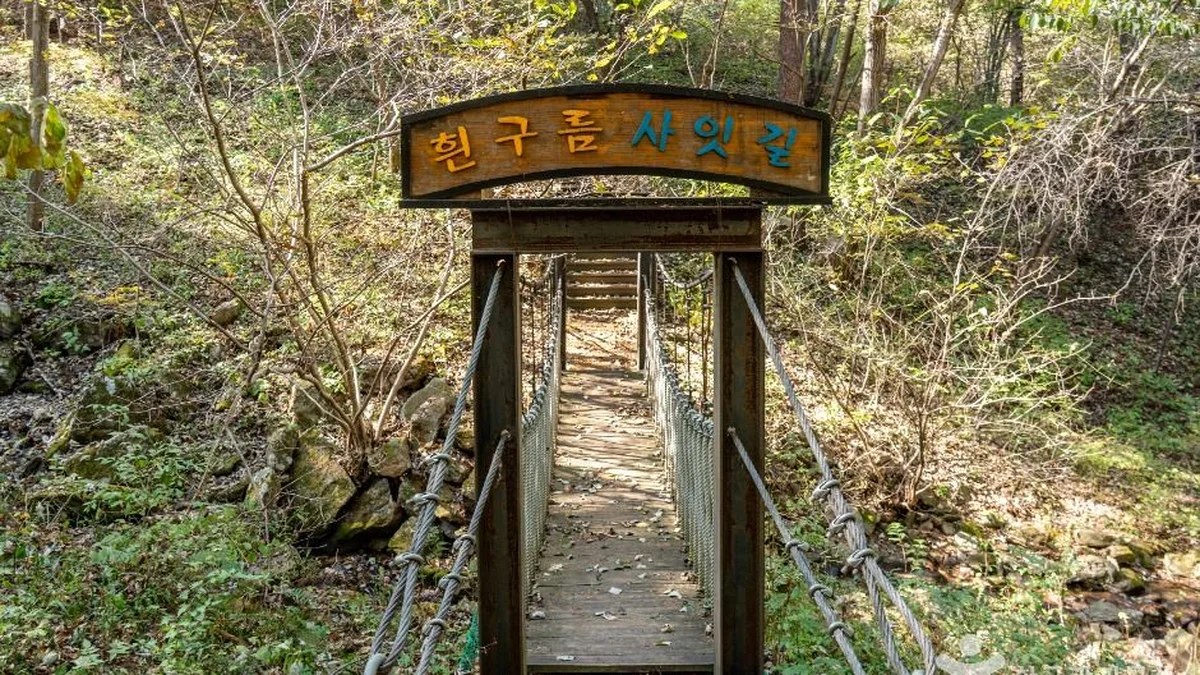 덕동생태숲