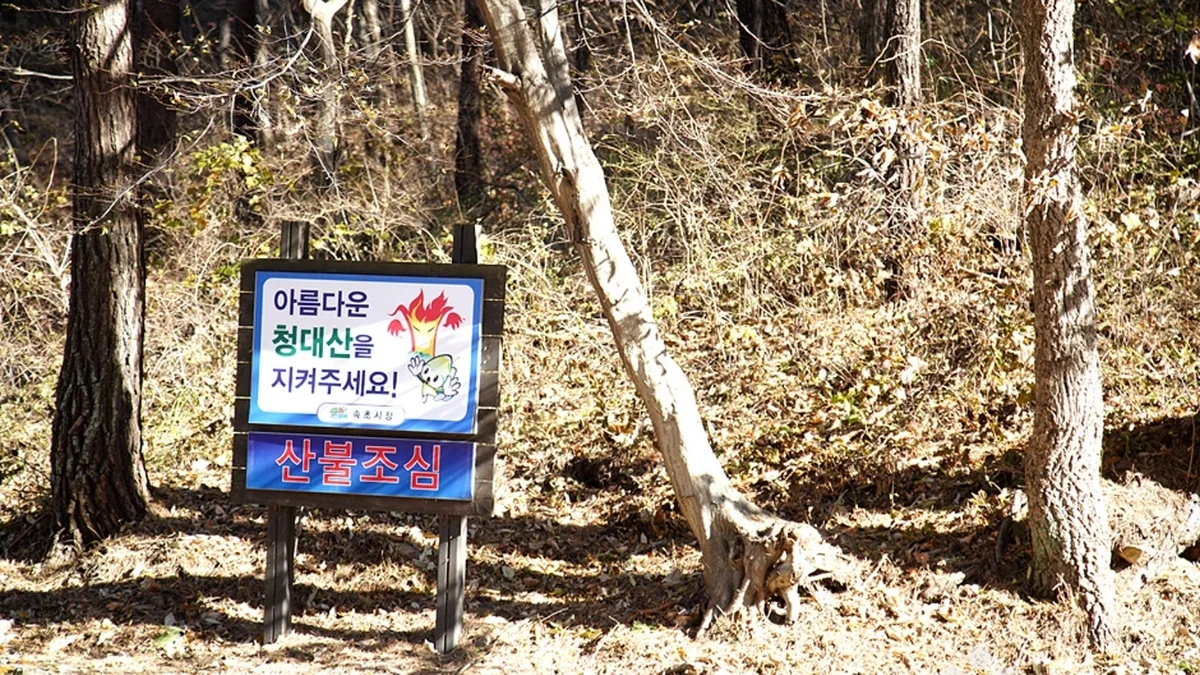 청대산