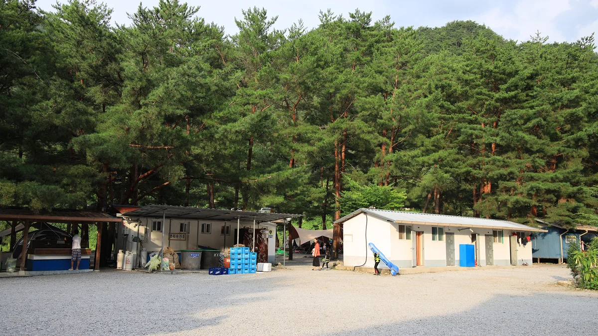 내리계곡 솔밭캠핑장