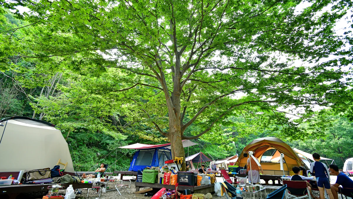 국립운장산자연휴양림 야영장