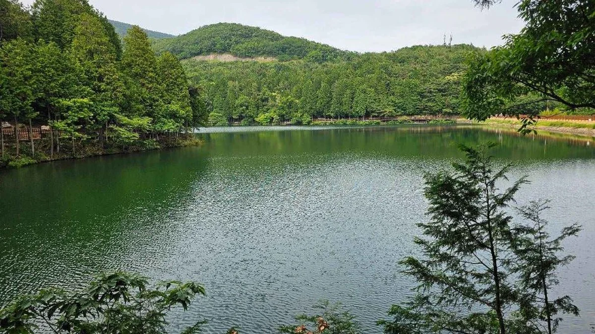 미평 봉화산 산림욕장