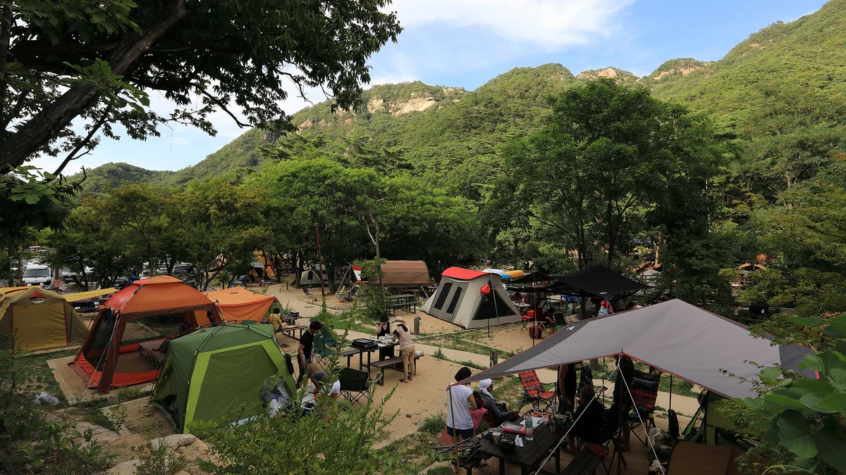 월악산국립공원 닷돈재자동차야영장