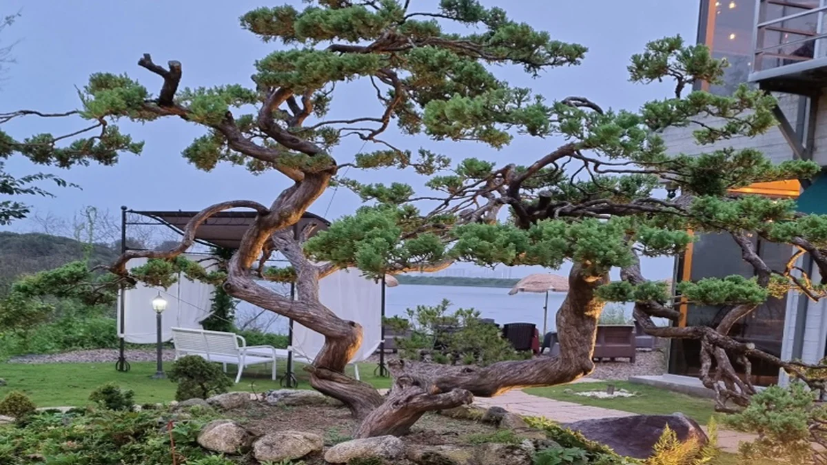 물빛정원