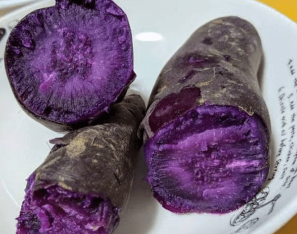 온라인 커뮤니티