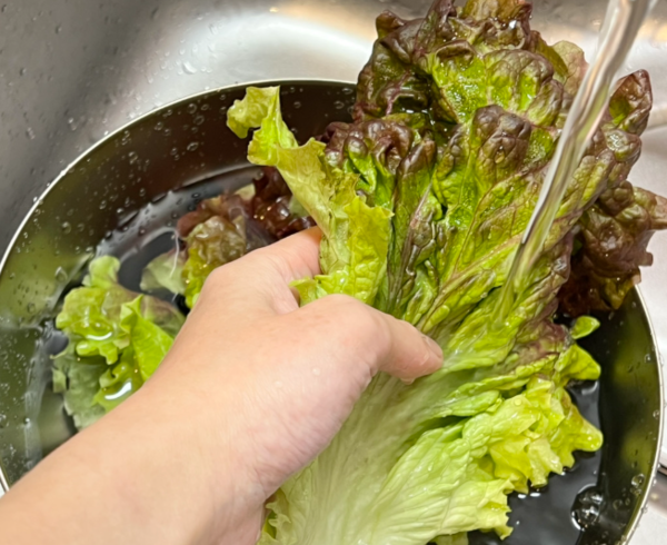 온라인 커뮤니티