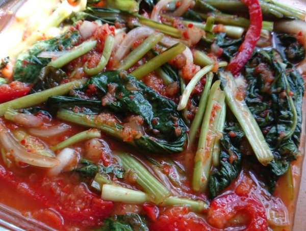 온라인 커뮤니티