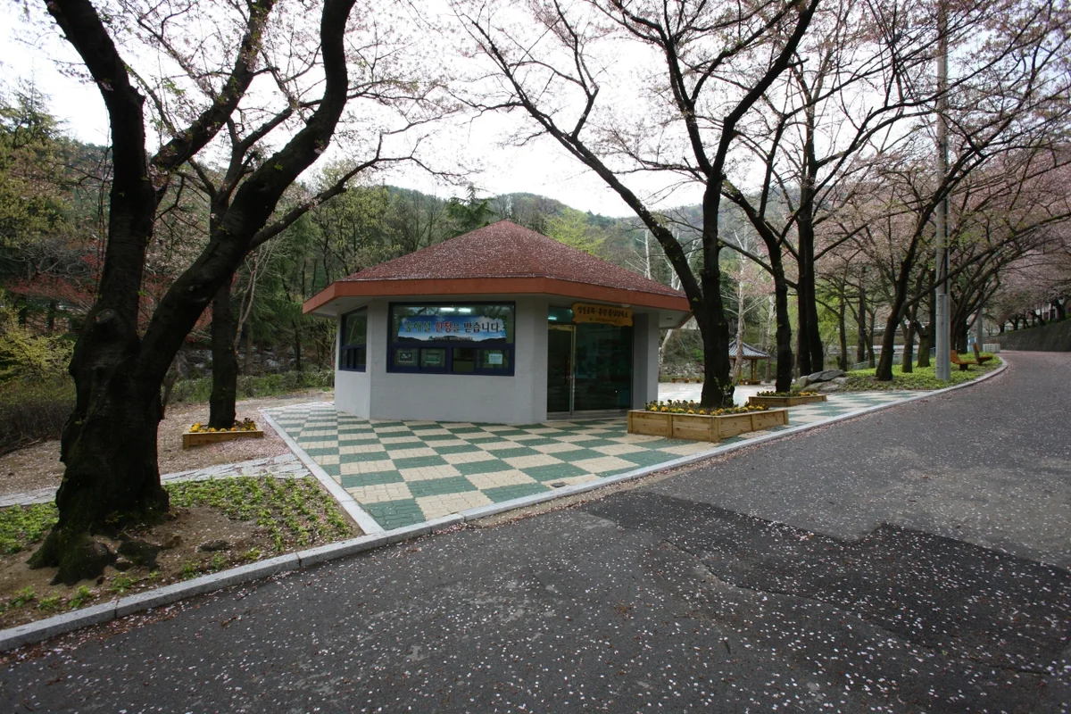 대구 앞산공원 - 경상권여행 여행