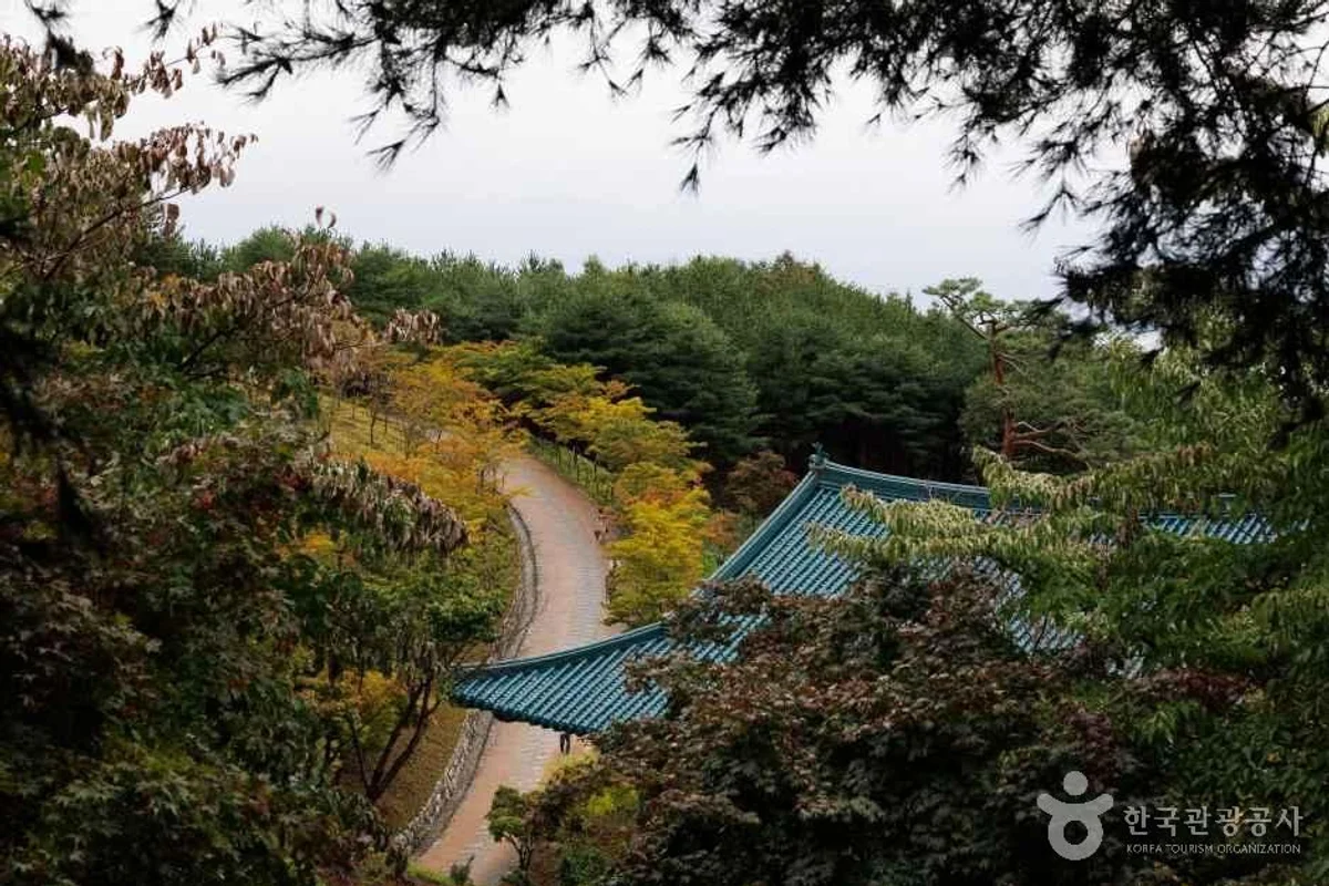 낙산사 - 양양군 축제 여행
