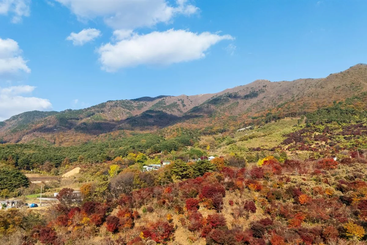 오서산 - 홍성여행 여행