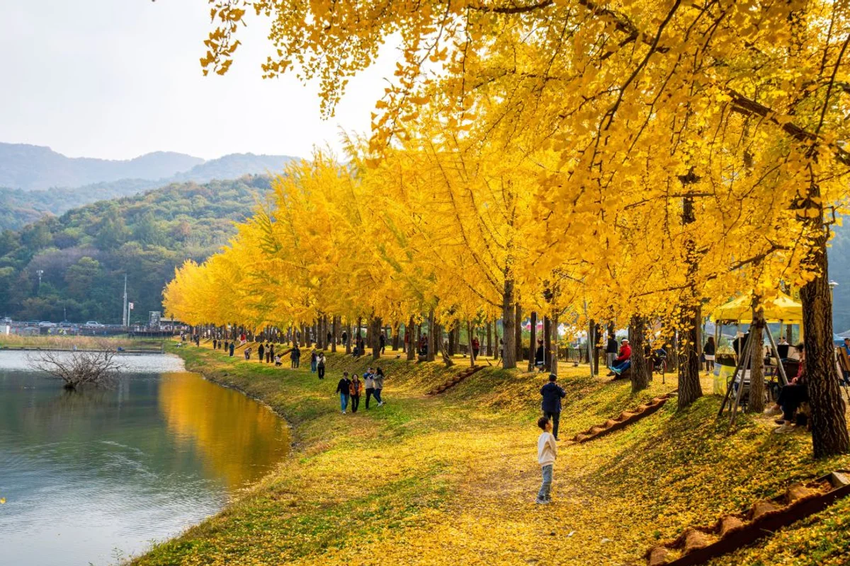 문광저수지 - 괴산야경산책 여행