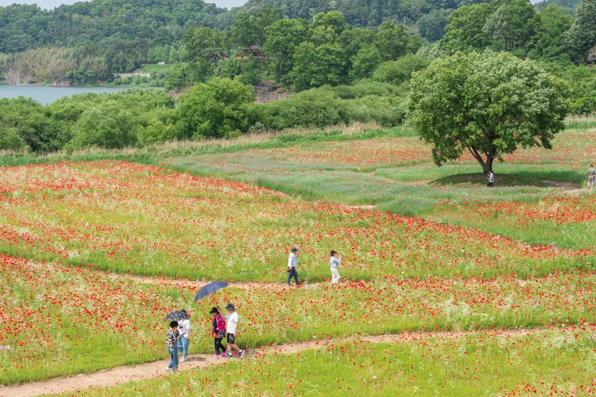 악양둑방 - 함안등산 여행