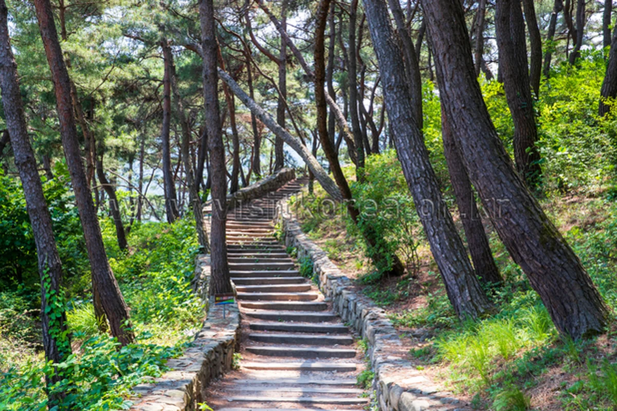 산막이옛길 - 괴산여행 여행