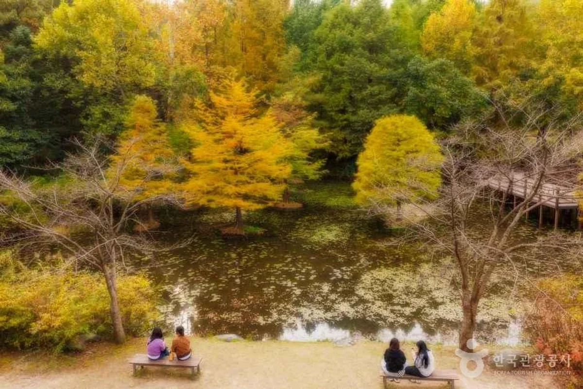 물향기수목원 - 동탄일출 여행