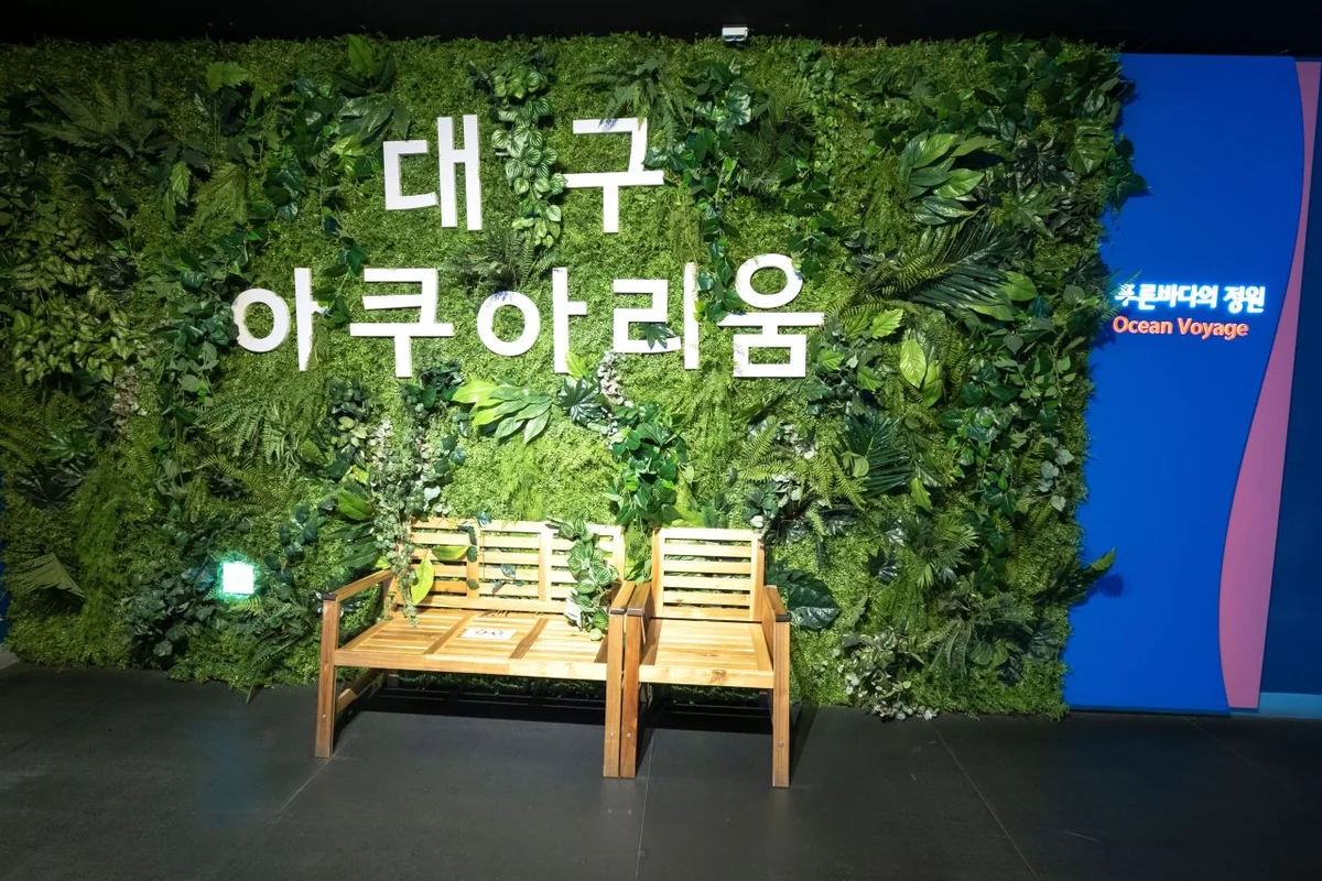 대구아쿠아리움 - 동대구역 식물원 여행