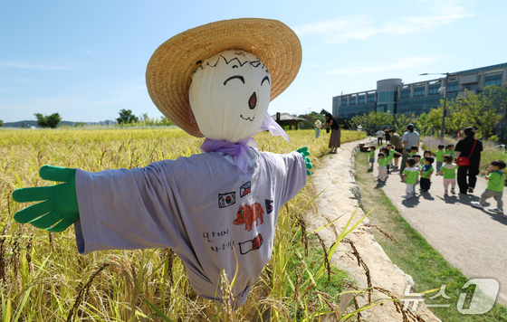 경기 수원시 권선구 국립농업박물관 다랑이논에 허수아비가 세워져 있다. 2026.9.22 © 뉴스1 김영운 기자