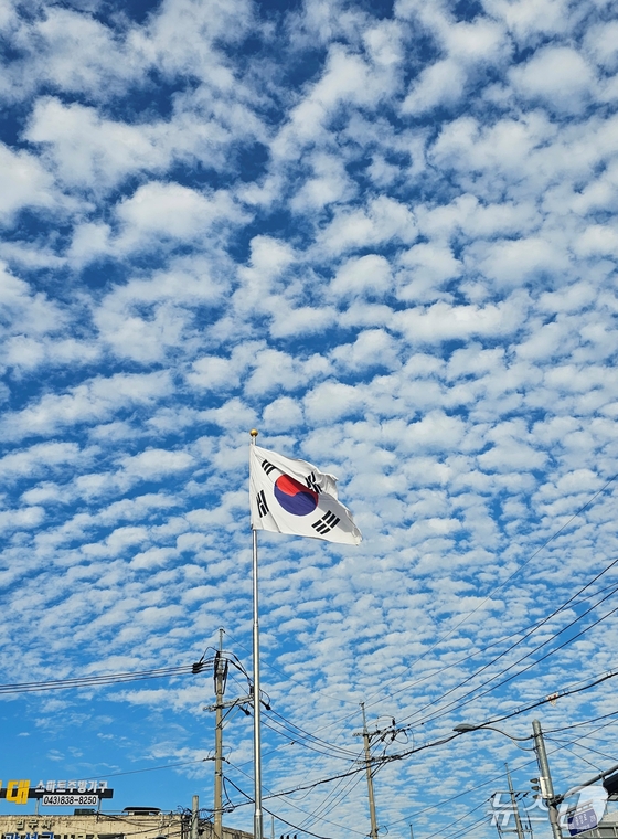 파란 가을 하늘을 배경으로 나부끼는  태극기.(자료사진)/뉴스1